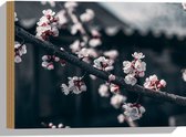 WallClassics - Hout - Bloesem aan Tak - 40x30 cm - 12 mm dik - Foto op Hout (Met Ophangsysteem)