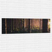 WallClassics - Muursticker - Bos in de Schemer van Zonsondergang - 150x50 cm Foto op Muursticker
