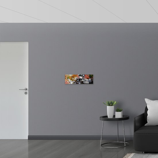 WallClassics - Poster Glossy - Petite Cascade avec Pierres et Arbres - 60x20 cm Photo sur Papier Poster avec Finition Brillante