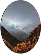 WallClassics - Dibond Ovaal - Bomen op Berg en Rotsen - 30x40 cm Foto op Ovaal (Met Ophangsysteem)