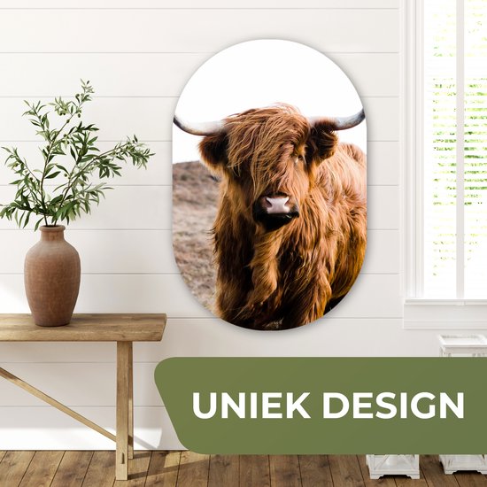 Ovale Mural - Ovale Mural - Décoration murale Plastique - Peinture Ovale - Highlander écossais - Paysage - Vache - Marron - Animaux - Nature - 60x90 cm - Forme miroir ovale sur plastique