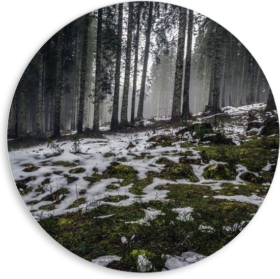 WallClassics - Cercle mural en panneau de mousse PVC - Arbres étroits dans une forêt avec de petits morceaux de neige - Photo 80x80 cm sur cercle mural (avec système de suspension)