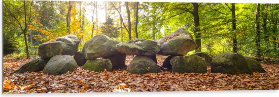 WallClassics - Dibond - Opgestapelde Stenen in Herfstbos - 120x40 cm Foto op Aluminium (Met Ophangsysteem)