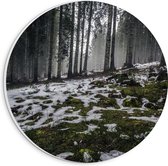 WallClassics - PVC Schuimplaat Muurcirkel - Smalle Bomen in Bos met Kleine Beetjes Sneeuw - 20x20 cm Foto op Muurcirkel (met ophangsysteem)