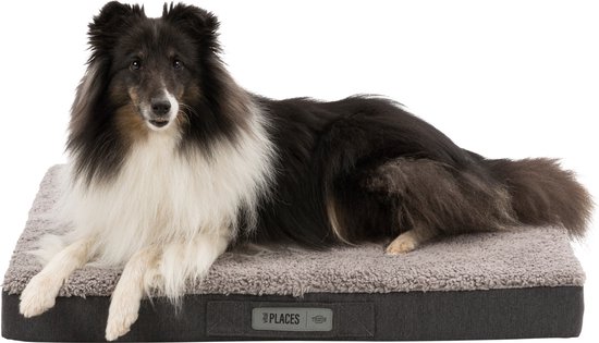 Trixie - Vitaal Matras Bendson - Maat: 120x72x10