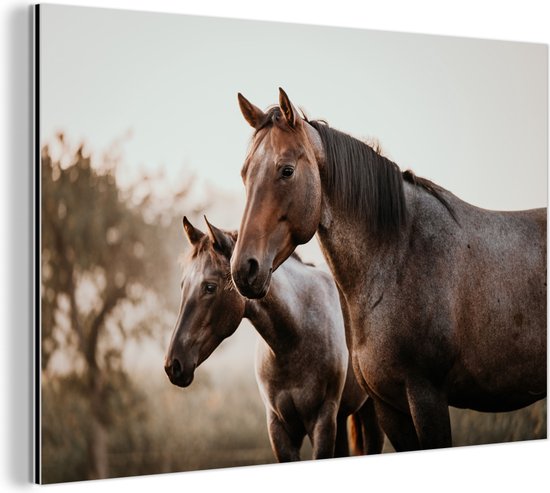 Wanddecoratie Metaal - Aluminium Schilderij Industrieel - Paarden - Natuur - Bruin - 90x60 cm - Dibond - Foto op aluminium - Industriële muurdecoratie - Voor de woonkamer/slaapkamer