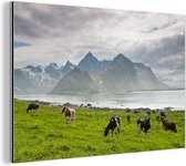 Vaches aux montagnes Aluminium 180x120 cm - Tirage photo sur Aluminium (décoration murale métal) XXL / Groot format!