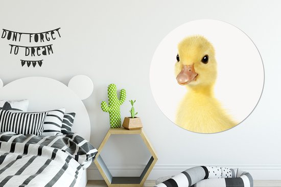 Caneton - Pépinière Portrait animalier Assiette en plastique cercle mural Ø 140 cm