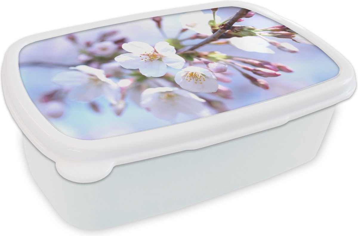Broodtrommel Wit - Lunchbox - Brooddoos - Bloemen - Sakura - Tak - 18x12x6 cm - Volwassenen