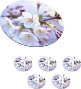 Onderzetters voor glazen - Rond - Bloemen - Sakura - Tak - 10x10 cm - Glasonderzetters - 6 stuks