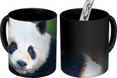 Magische Mok - Foto op Warmte Mokken - Koffiemok - Panda - Wilde dieren - Portret - Steen - Magic Mok - Beker - 350 ML - Theemok
