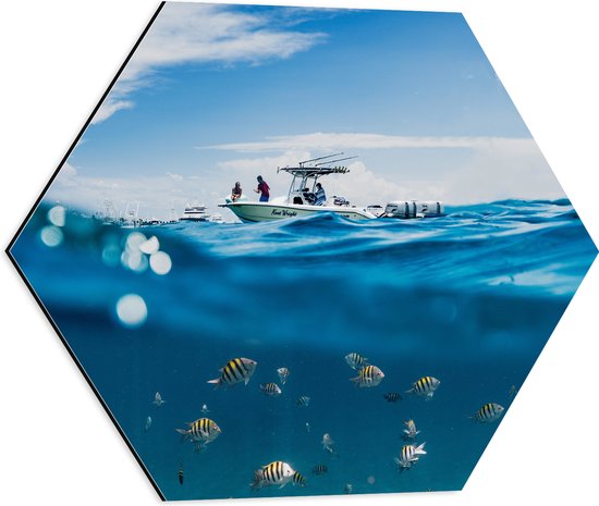WallClassics - Dibond Hexagon - Scheiding van Water en Lucht - Vissen onder een Boot - 50x43.5 cm Foto op Hexagon (Met Ophangsysteem)