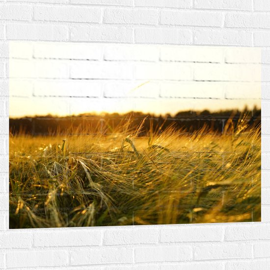 WallClassics - Muursticker - Sprinkhaan in het Gras - 100x75 cm Foto op Muursticker
