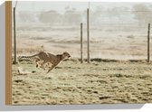 WallClassics - Hout - Jacht Luipaard voor een Hek - 40x30 cm - 12 mm dik - Foto op Hout (Met Ophangsysteem)