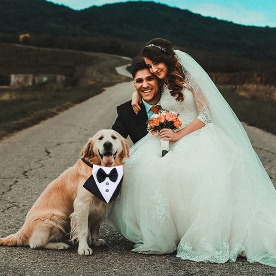 EMagTech Hond, Formele Smoking, Bandana, Hondenhalsband Met Vlinderdas En Stropdas D Ring Verstelbare Stropdas Knoop Halsdoek Voor Middelgrote Grote Honden Huisdieren Maat M EMagTech Hond, Formele Smoking, Bandana, Hondenhalsband Met Vlinderdas En Stropdas D Ring Verstelbare Stropdas Knoop Halsdoek Voor Middelgrote Grote Honden Huisdieren Maat M