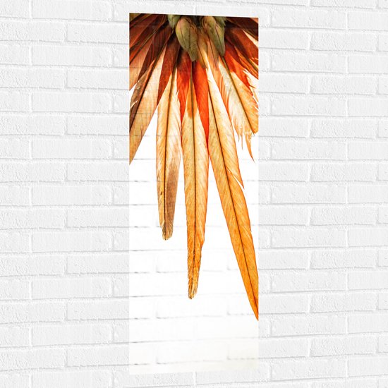 WallClassics - Muursticker - Oranje Veren van Vogel - 40x120 cm Foto op Muursticker
