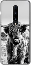 Geschikt voor OnePlus 7 Pro hoesje - Koe - Schotse hooglander - Zwart - Wit - Dier - Natuur - Wild - Siliconen Telefoonhoesje