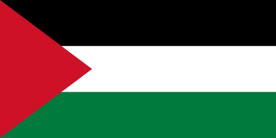 Vlag Palestina 30x45cm