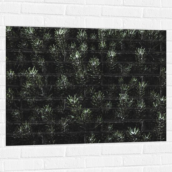 WallClassics - Muursticker - Naalden van een Denneboom - 100x75 cm Foto op Muursticker