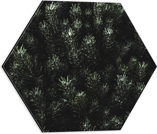 WallClassics - Dibond Hexagon - Naalden van een Denneboom - 40x34.8 cm Foto op Hexagon (Met Ophangsysteem)
