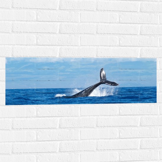 WallClassics - Muursticker - Staart de baleine au-dessus de la surface de la mer - Photo sur Muursticker 90x30 cm
