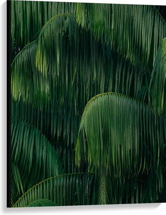WallClassics - Canvas  - Groene Plant met Lange Bladeren - 75x100 cm Foto op Canvas Schilderij (Wanddecoratie op Canvas)