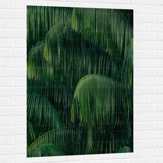 WallClassics - Muursticker - Groene Plant met Lange Bladeren - 80x120 cm Foto op Muursticker