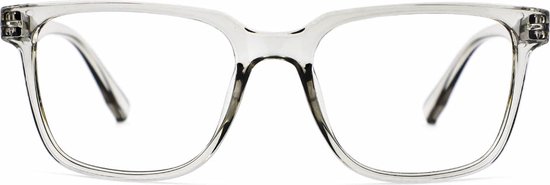 Leesbril Vista Bonita Cubo met blauw licht filter-Kadushi Silver-+2.50 - Vista Bonita