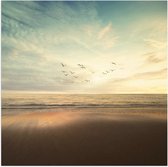WallClassics - Poster (Matte) - Vogels volant au-dessus de la mer et de la plage - Photo 50x50 cm sur Papier Poster d'aspect Mat