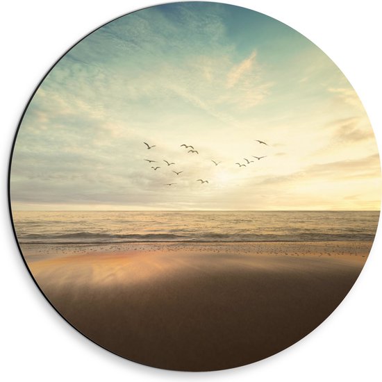 WallClassics - Dibond Muurcirkel - Vogels vliegend over de Zee en het Strand - 30x30 cm Foto op Aluminium Muurcirkel (met ophangsysteem)