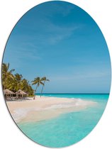 WallClassics - Dibond Ovaal - Tropisch Strand met Palmbomen - 60x80 cm Foto op Ovaal (Met Ophangsysteem)