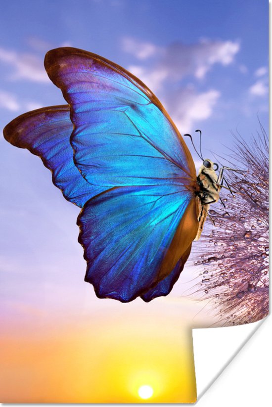 Affiche Papillon - Coucher de Soleil - Pissenlit - Blauw - 80x120 cm |  bol.com
