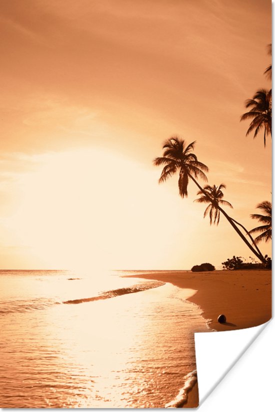 Affiche Sunset - Tropical - Palmier - Plage - Mer - 60x90 cm