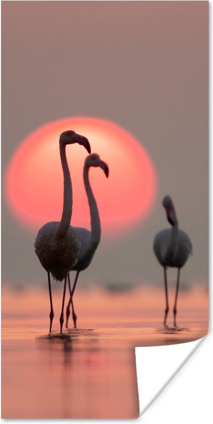 Poster - Fotolijst - Flamingo - Zon - Roze - Vogel - Tropisch - Kader - 80x160 cm - Poster met lijst - Foto in lijst - Poster dieren - Poster flamingo - Wanddecoratie