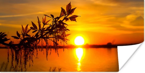 Poster Zonsondergang - Water - Planten - Oranje - 40x20 cm