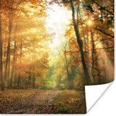 Poster Bos - Herfst - Zon - Landschap - Natuur - Bomen - Bladeren - 75x75 cm