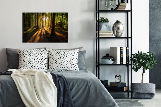 Affiche Soleil - Arbres - Forêt - Paysage - Nature - 90x60 cm