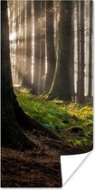 Poster Zon - Takken - Bomen - Bos - Natuur - 20x40 cm