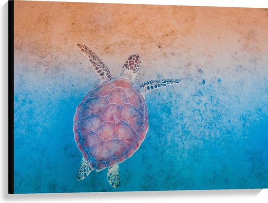 WallClassics - Canvas  - Schildpad Zwemt naar het Strand - 100x75 cm Foto op Canvas Schilderij (Wanddecoratie op Canvas)