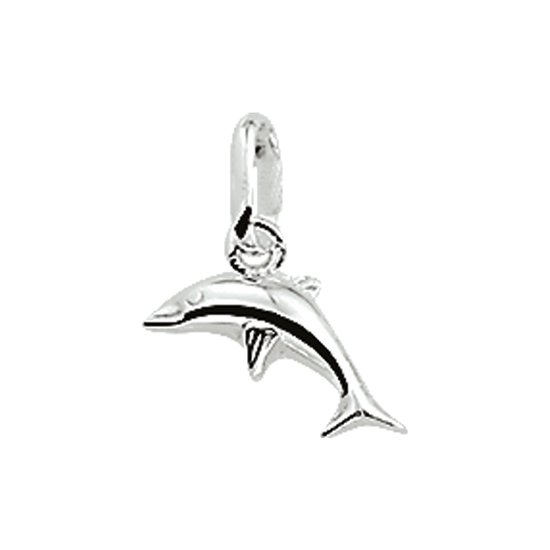 Zilveren Hanger dolfijn