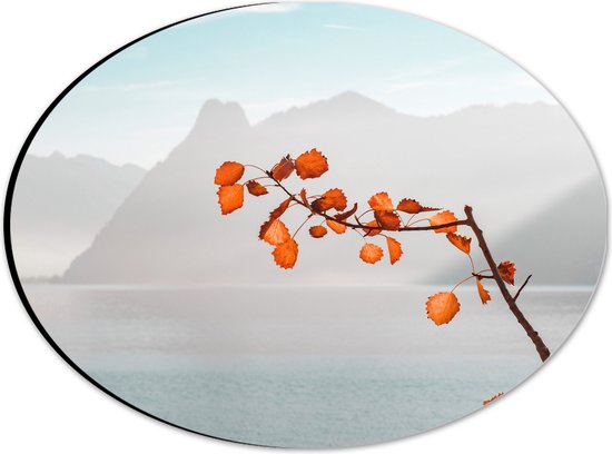 WallClassics - Dibond Ovaal - Oranje Bladeren aan Tak voor Bergen - 28x21 cm Foto op Ovaal (Met Ophangsysteem)