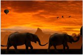 WallClassics - Poster (Mat) - Olifanten Stoet bij Zonsondergang - 75x50 cm Foto op Posterpapier met een Matte look
