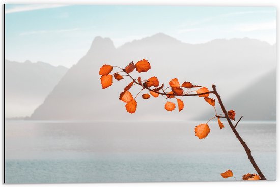 WallClassics - Dibond - Oranje Bladeren aan Tak voor Bergen - 60x40 cm Foto op Aluminium (Wanddecoratie van metaal)
