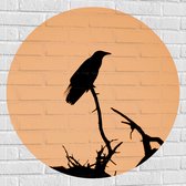 WallClassics - Muursticker Cirkel - Silhouette van een Raaf Vogel op Takken - 90x90 cm Foto op Muursticker