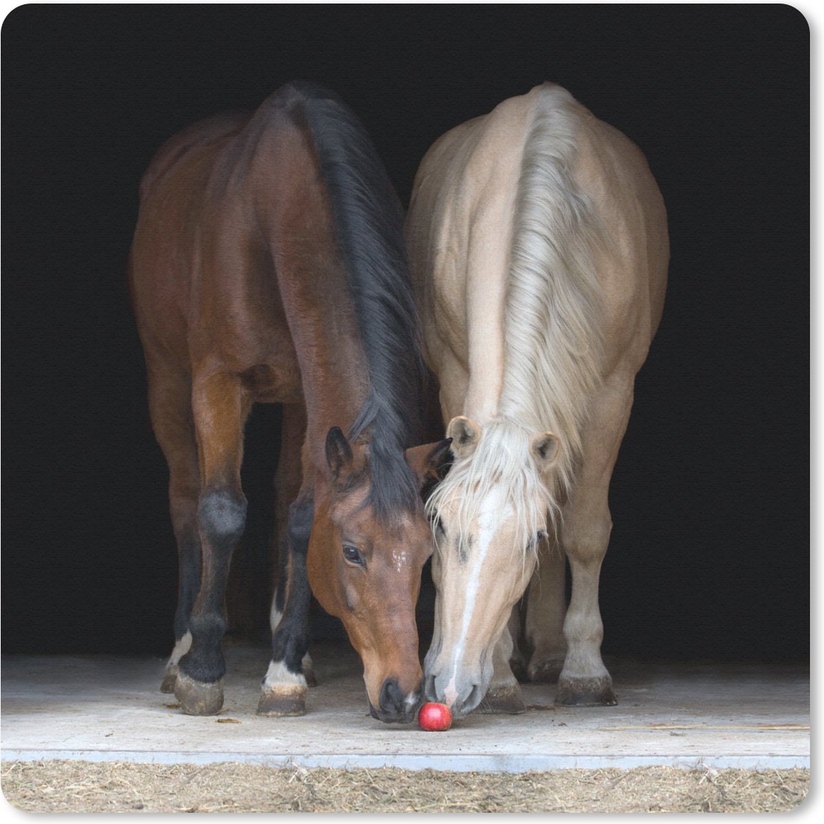 Muismat 20x20 cm - Mousepad Paarden - Dieren - Appel - Muismatten