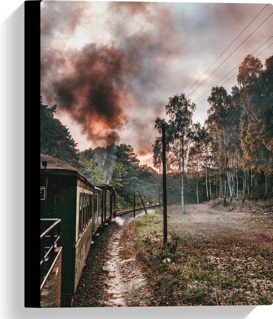 WallClassics - Canvas  - Stoomtrein tussen Bomen - 30x40 cm Foto op Canvas Schilderij (Wanddecoratie op Canvas)