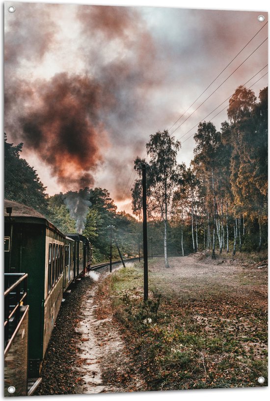 WallClassics - Tuinposter – Stoomtrein tussen Bomen - 80x120 cm Foto op Tuinposter  (wanddecoratie voor buiten en binnen)