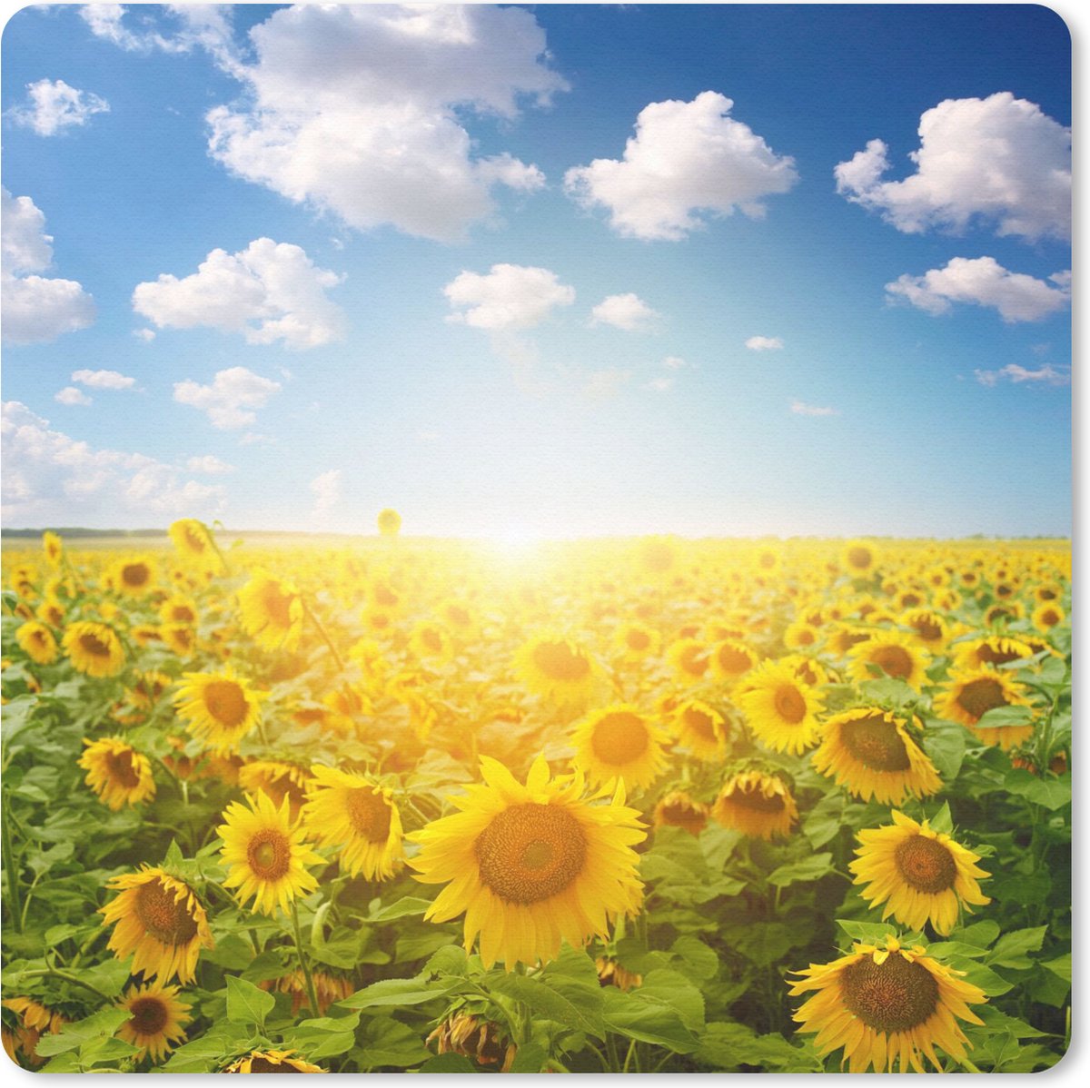 Muismat 30x30 cm - Mousepad Zonnebloem - Zon - Wolken - Muismatten