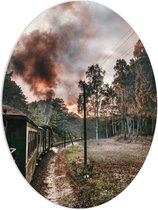 WallClassics - PVC Schuimplaat Ovaal - Stoomtrein tussen Bomen - 60x80 cm Foto op Ovaal  (Met Ophangsysteem)