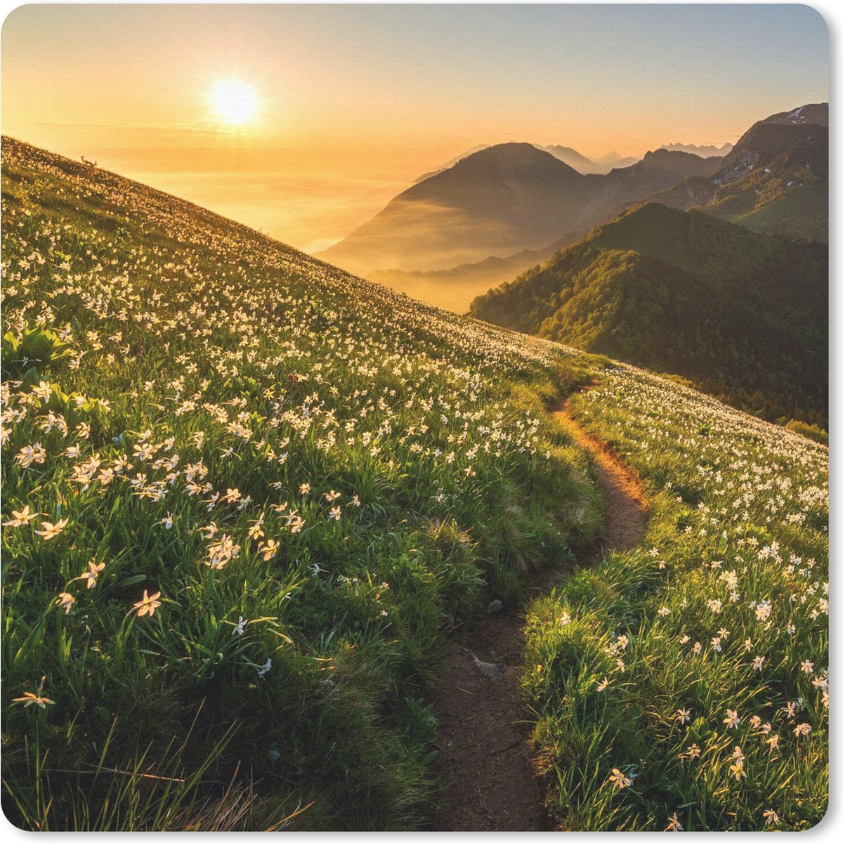 Muismat 20x20 cm - Mousepad Bloemen - Zon - Bergen - Muismatten